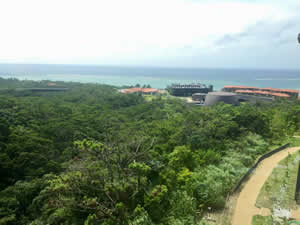 OIST View